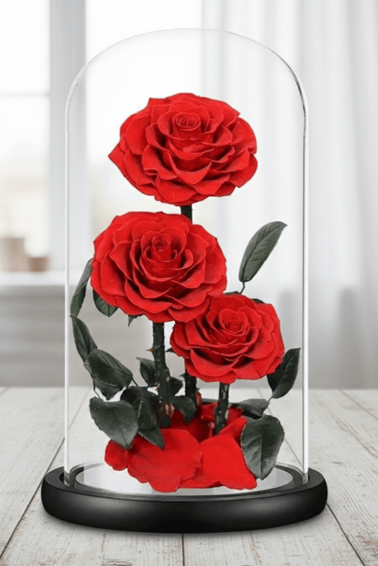 TRIO RED INFINITY ROSES