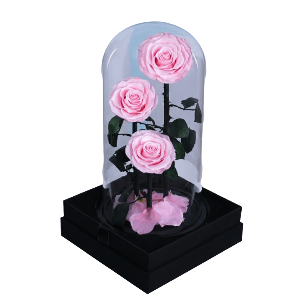 TRIO PINK INFINITY ROSES