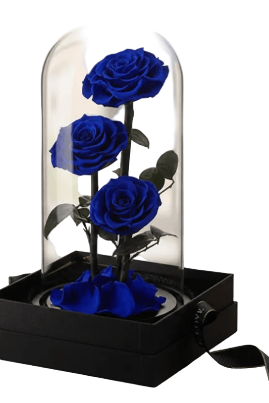 TRIO BLUE INFINITY ROSES